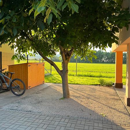 Rekreacni Dum U Jezer, Milovice 6 Βίλα Εξωτερικό φωτογραφία
